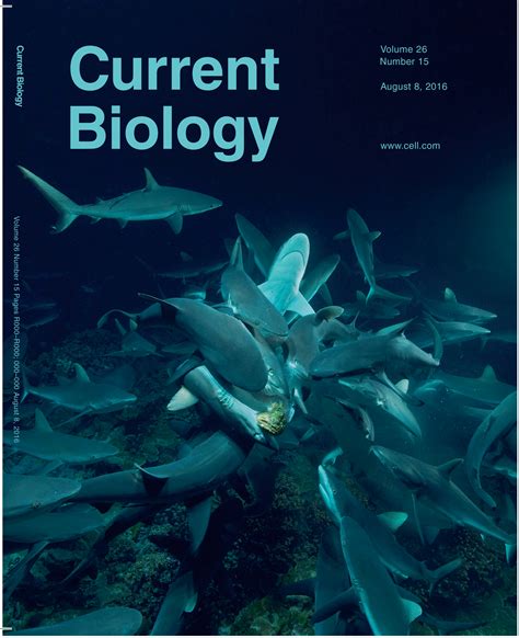 Current Biology is widely valued among life scientists for its unique blend of important research papers and informed, lively commentary. Published every 2 weeks, the journal delivers exciting primary research from all areas of biology, from molecular biology to evolution. Current Biology also features timely Dispatches - commentary by leading ...
